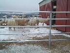 Galvanized tube rail installed by valley fence